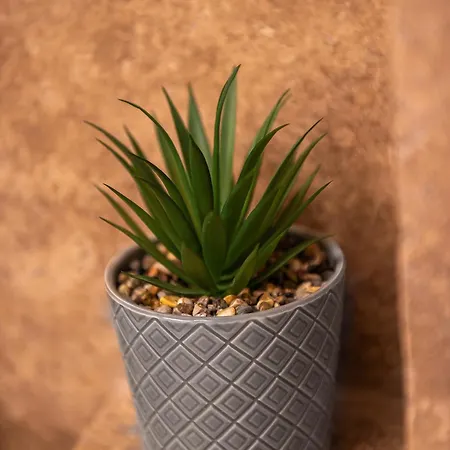 Thaya * מנגליה